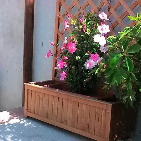 Apartment Il Raggio *