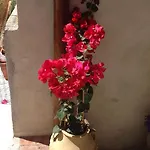 Il Raggio Apartamento