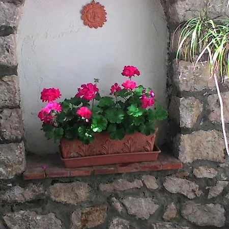 Il Raggio Apartment