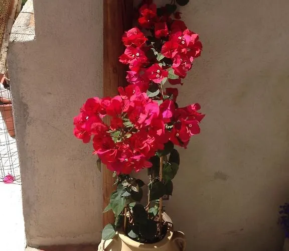 Il Raggio Appartement