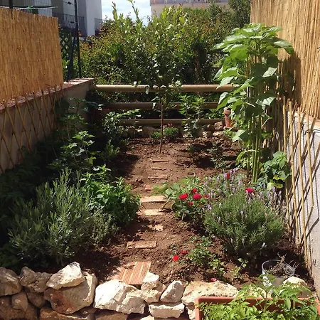 Il Raggio Apartamento Capri